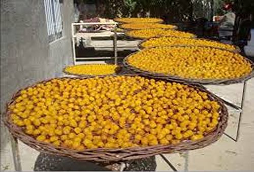تصویر 4 از قیمت آلو بخارا حاج حسنی + خرید باور نکردنی